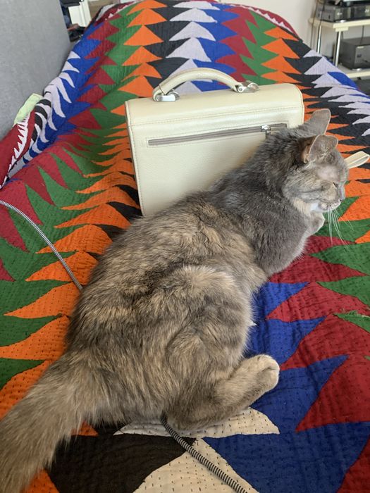 Барсетка, шкіра.