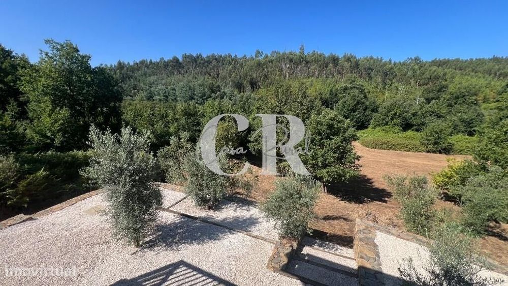 Casa de Pedra Renovada, Ruínas, Riacho, Poços e 15.570m2 de Terreno na