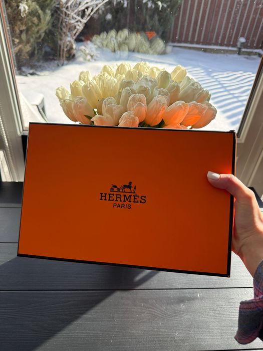 Чайний набір посуду Hermes