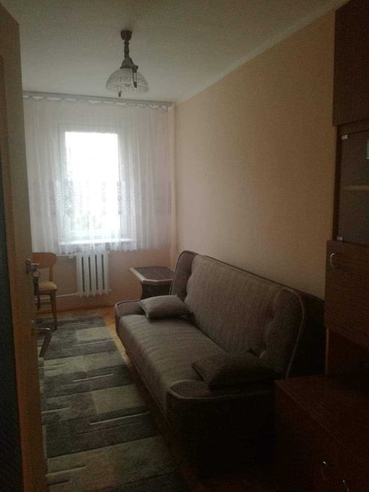 Mieszkanie do wynajęcia