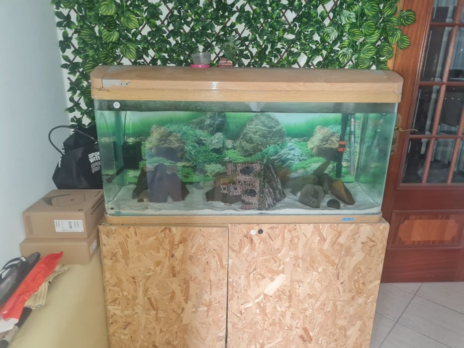 Aquário 120x48x60 vendo ou troco