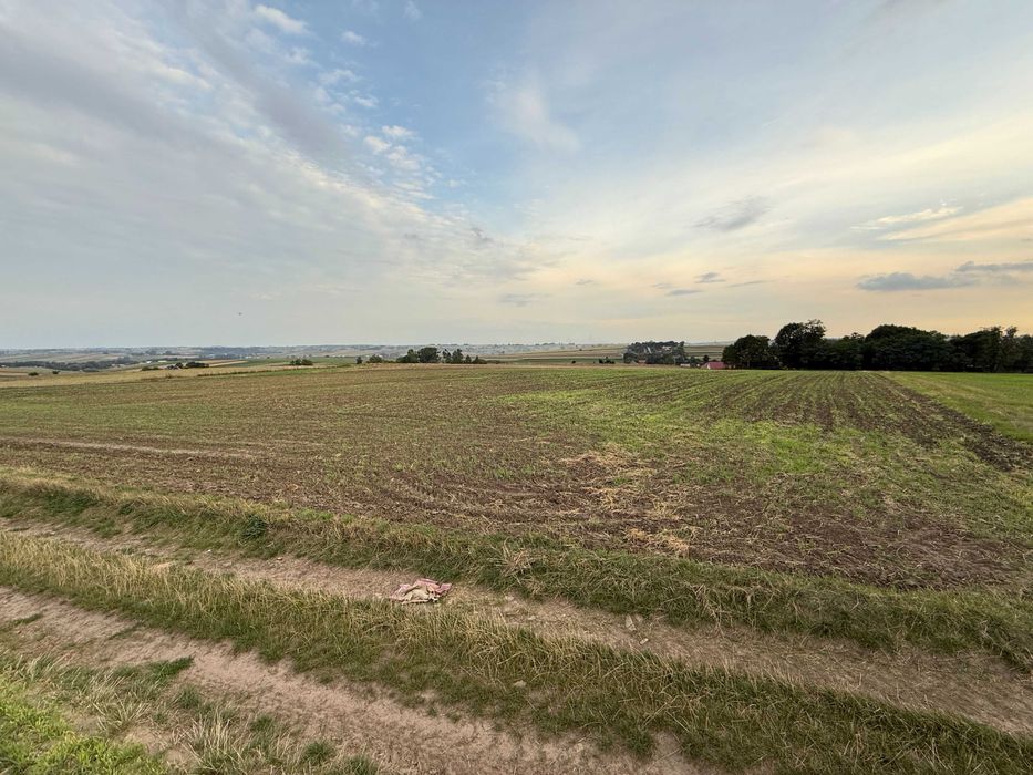 Sprzedam Pole Orne 1,15 ha cały czas uprawiane - Widok 4