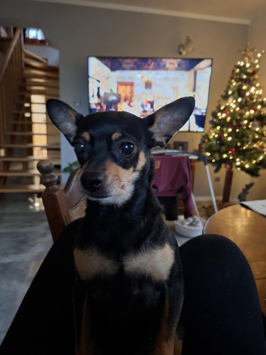 Nela- mała iskierka z charakterem