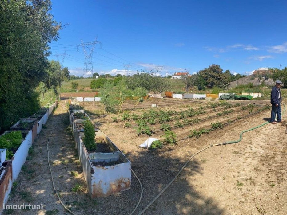Quinta com vista Mar em Santiago do Cacém