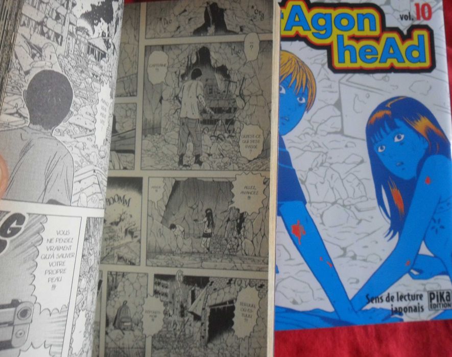 Minetaro Mochizuk- Dragon Head (edição em francês) 8 volumes de 10