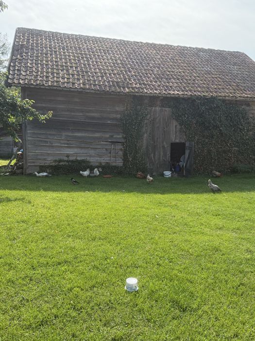 Mazurska Zagroda Niedźwiedzi Róg - pokoje do wynajęcia nad Śniardwami