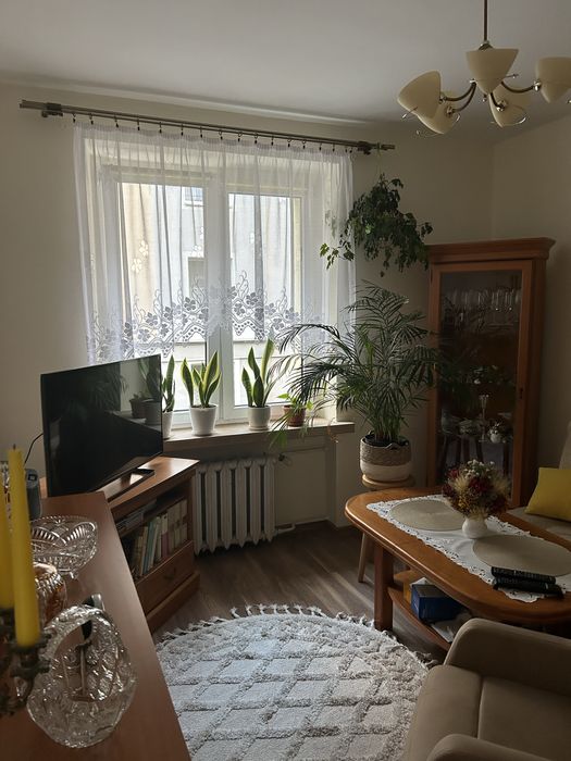 Mieszkanie 38m2 Ip. 2 pokoje
