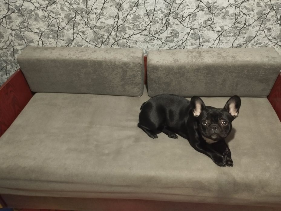 Продам диван в гарному стані