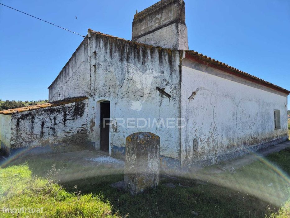 Herdade com elevado potencial de investimento em Pavia,Mora.