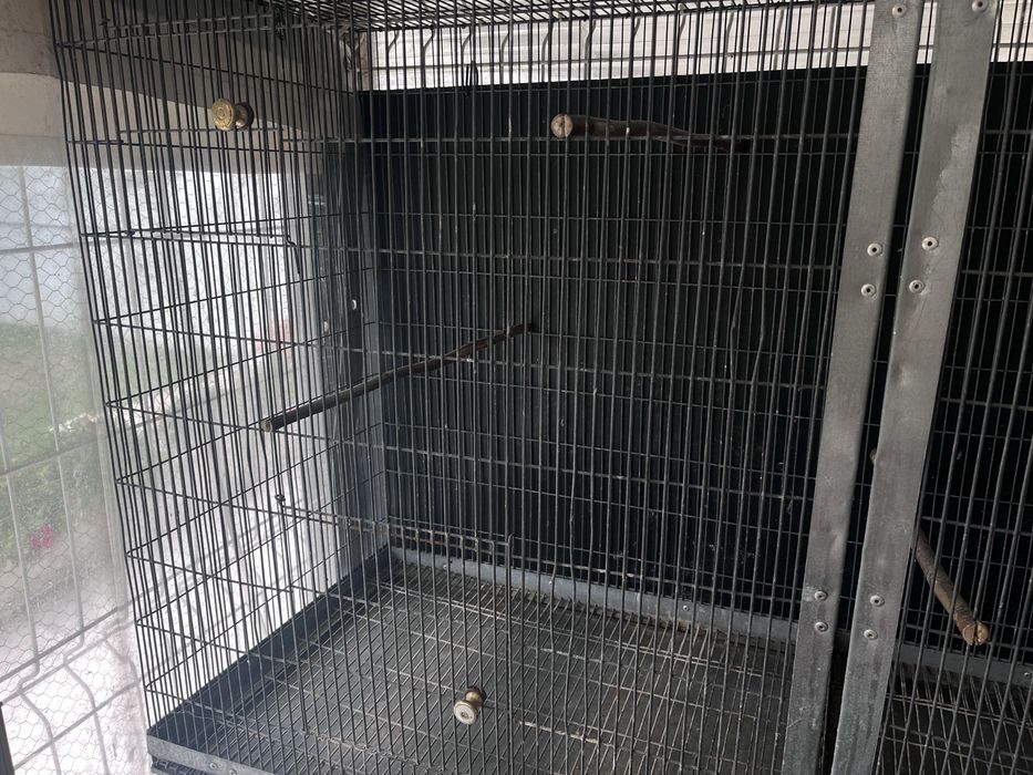Voadeira para Aves