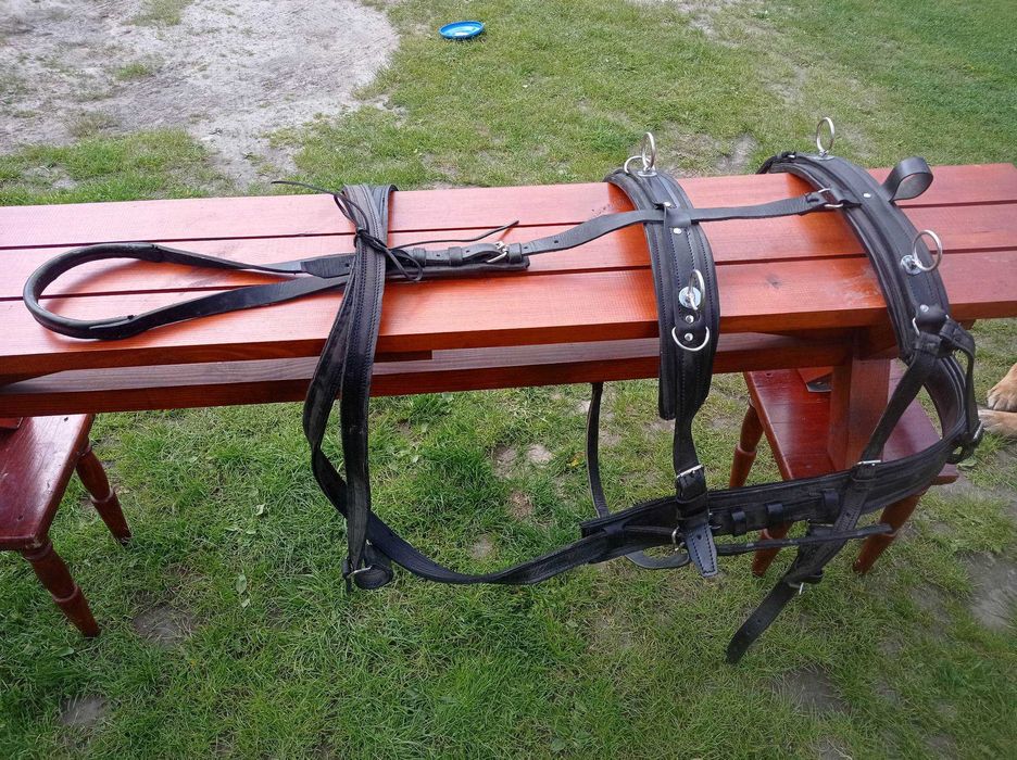 Uprząż szory dla konia hucuł małopolski