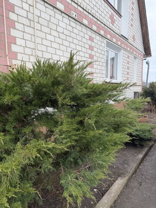 Будинок з усіма зручностями в Новгород -Сіверський