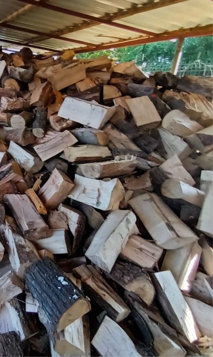 Suche Drewno kominkowe galeziówka tani transport