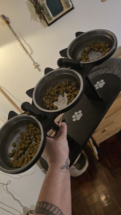 Torre Gatos + Transportadoras e Acessórios