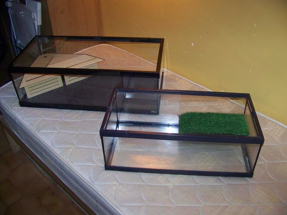 2 tartarugueiras com plataformas