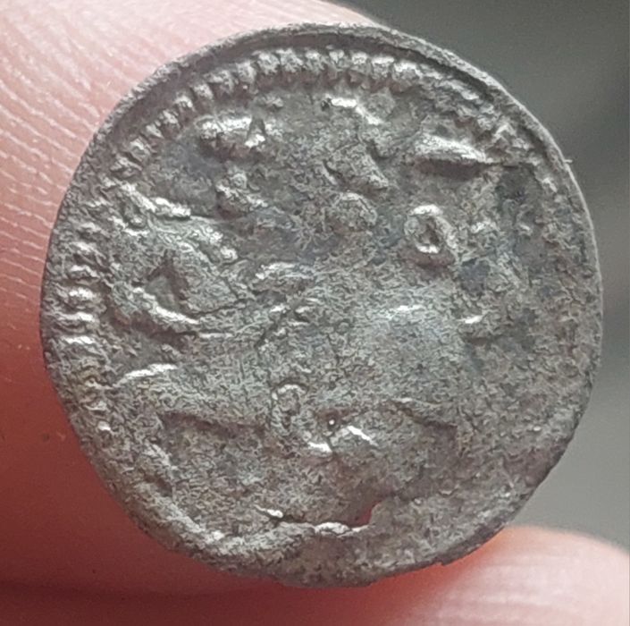 Denar 1501 - 1506 r. Wilno, Aleksander Jagiellończyk