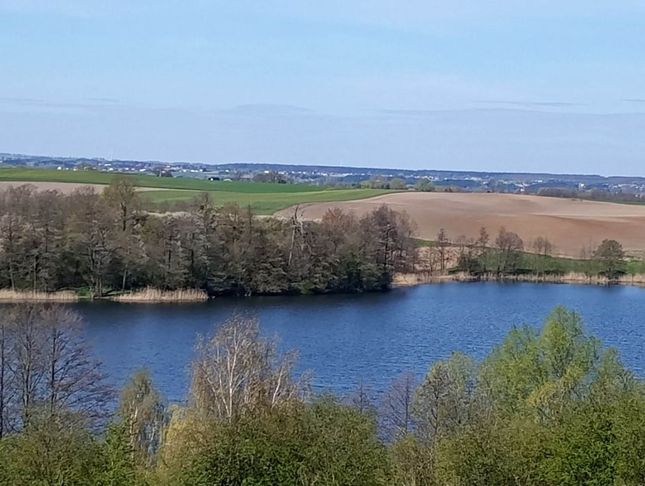 Sprzedam  siedlisko nad jeziorem. - Widok 2