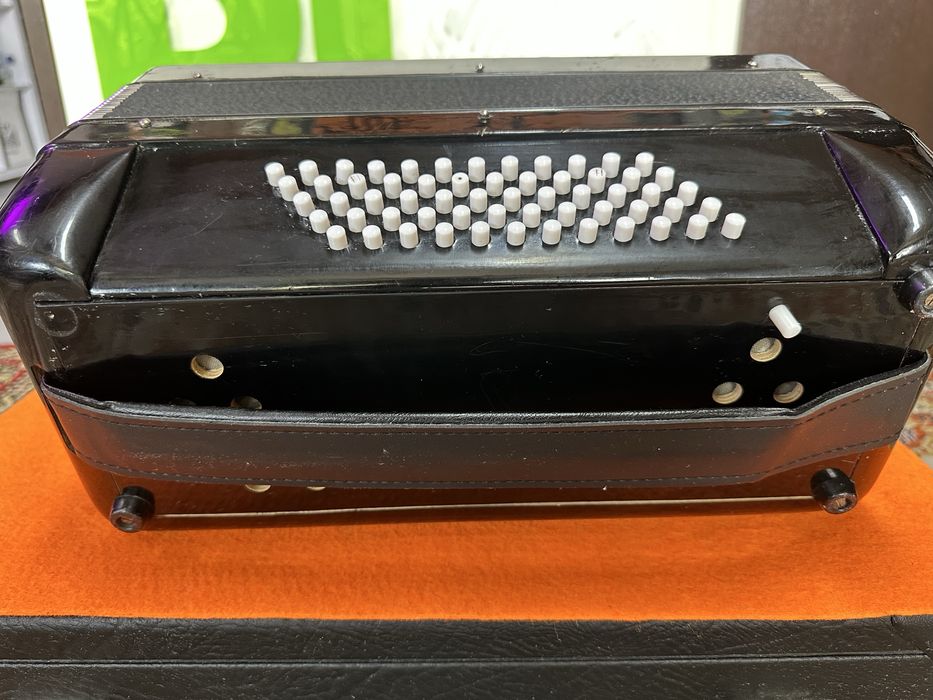 Acordeão de teclas Parrôt 60 baixos preto