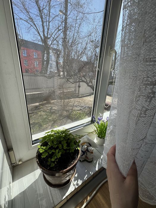 Продам будинок з ремонтом! 6 соток