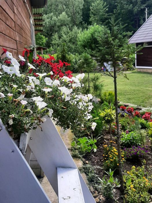 Яремче оренда котеджа подобово Котедж2 «Біля водоспаду» для 2-4х осіб