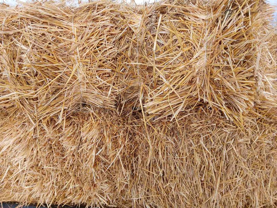 Сено , Солома,с БЕСПЛАТНОЙ доставкой   90грн. за 1шт