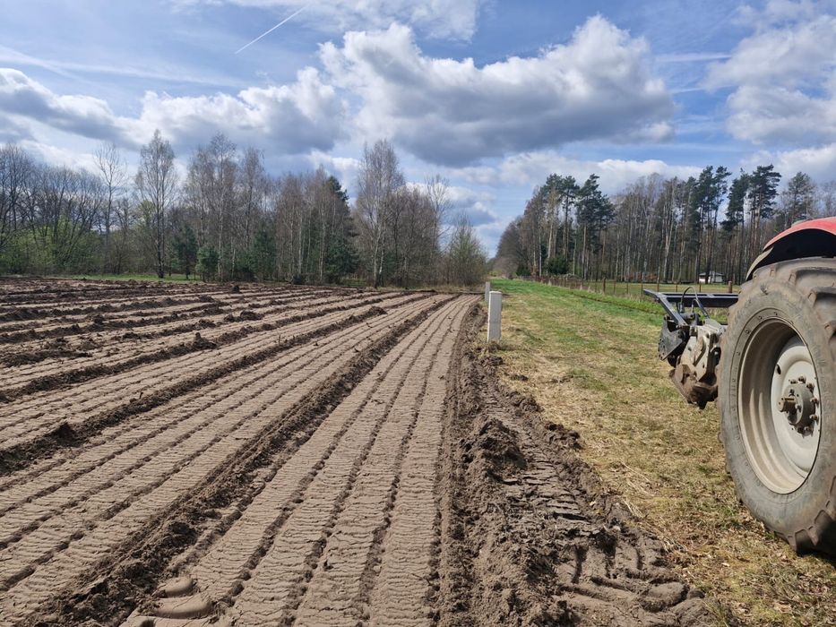 Wycinka drzew uslugi rebakiem frezowanie  utylizacja galezi korzeni