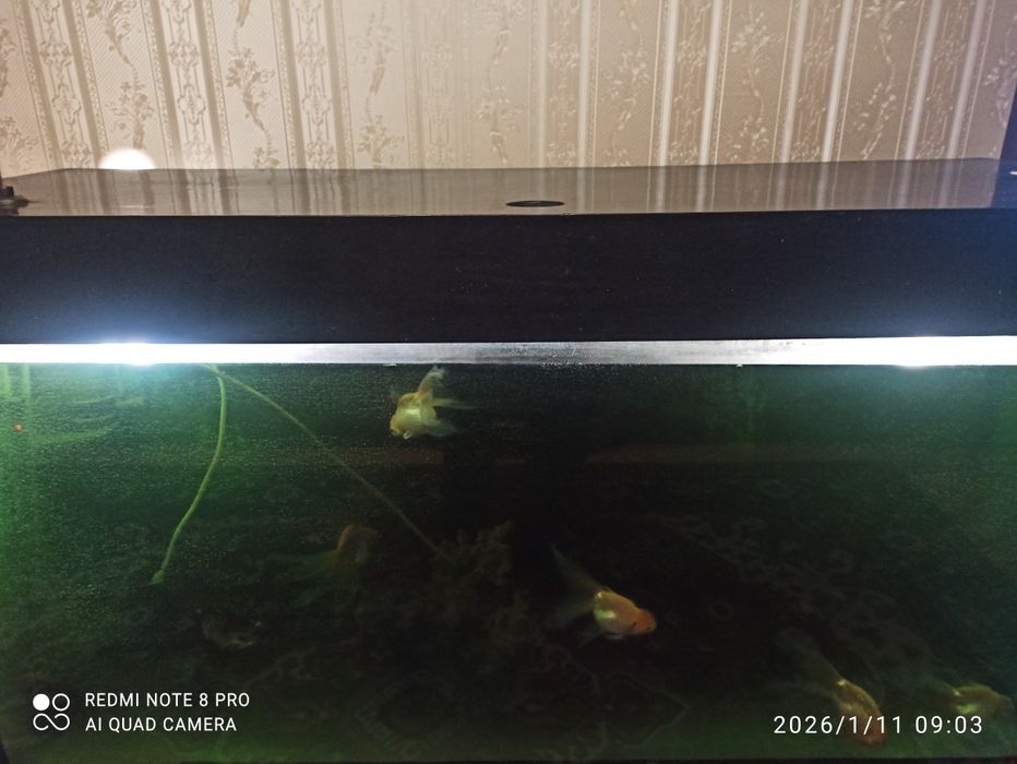 Срочно продам, Аквариум на 300литров.