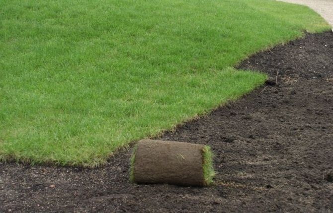 Чорнозем на город на ландшафтний дизайн для дач по області