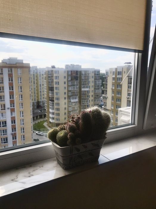 Подобово посуточно, квартира-студія. Центр. Недалеко озеро. Власник.