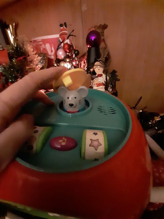 Interactive Toy433171727804672005