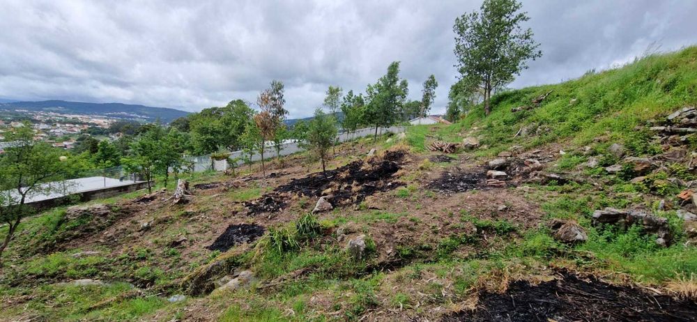 Terreno para construção com 5000m2 com projeto ja aprovado