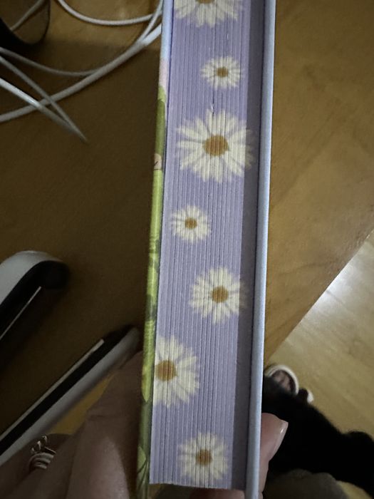 Ярослава Литвин « Вілла у Сан-Фурсиско»