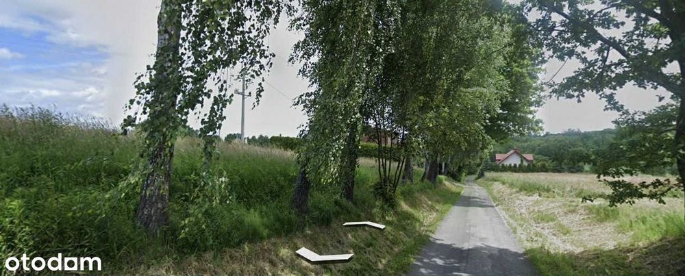 Zdjęcie 4
