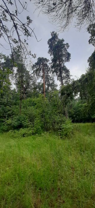 Продам ділянку, 6 сот, до метро 15 хв авто, Горенка, район Пуща-Водиця