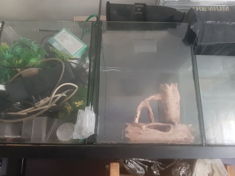 Акваріуми для риб