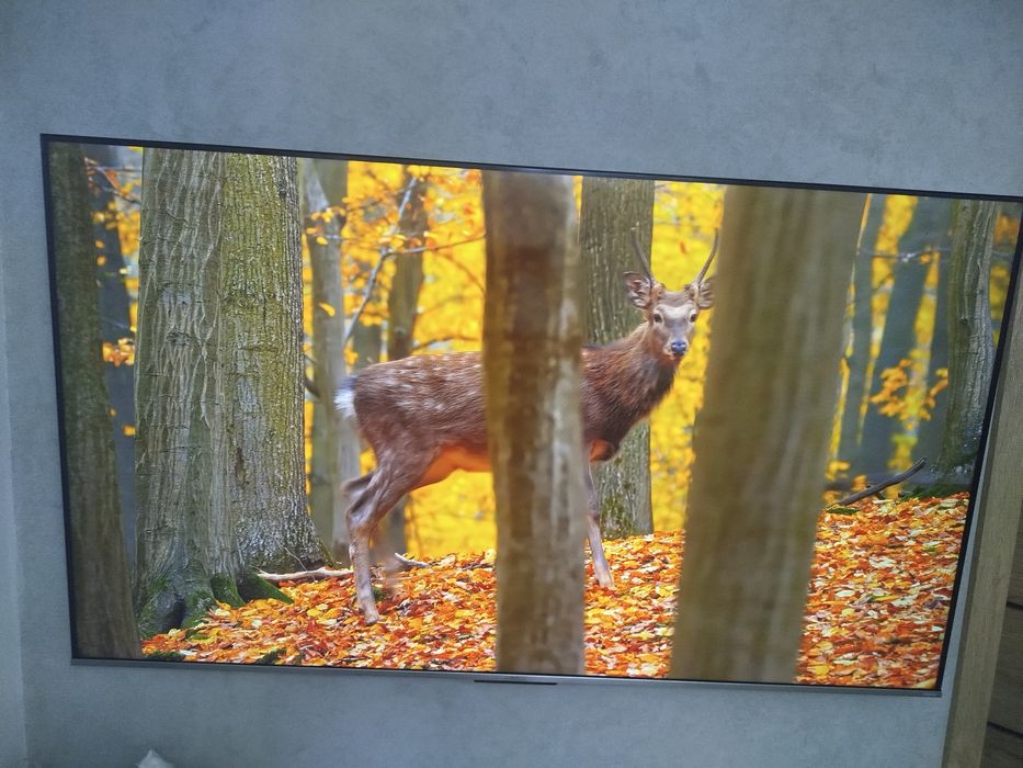 TV TCL 65" GoogleTV, DVBT2