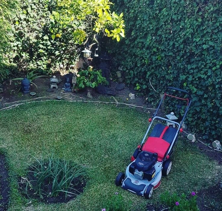 Construção e Manutenção de Jardins & Espaços Verdes