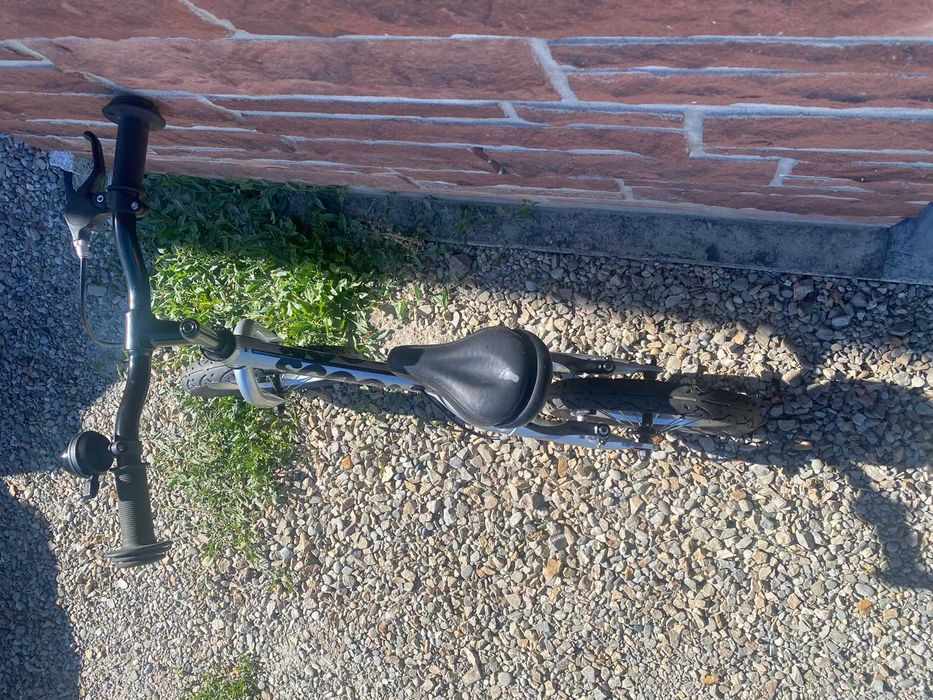 Rowerek biegowy Scoot