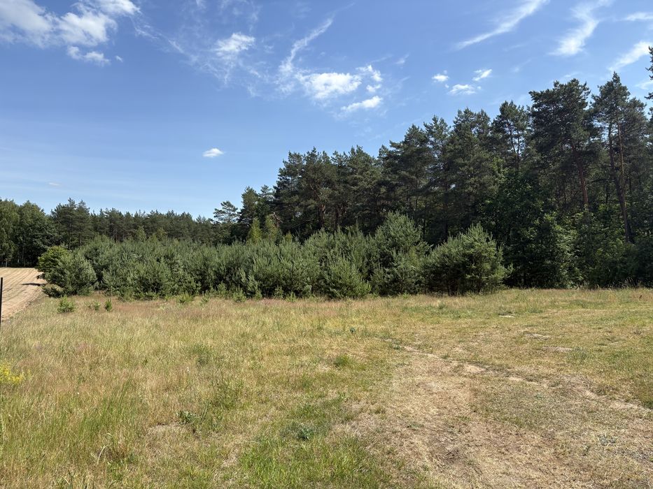 Działka w sercu lasu nad jeziorem wydane warunki zabudowy