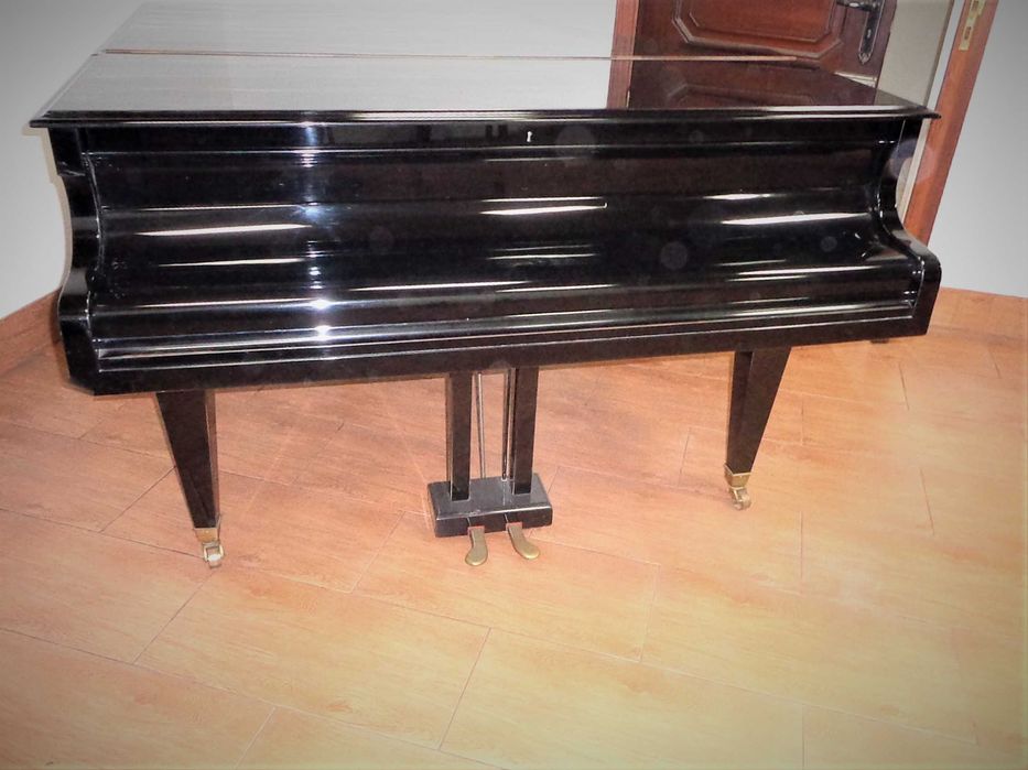 Afinador pianos , arranjo e venda.