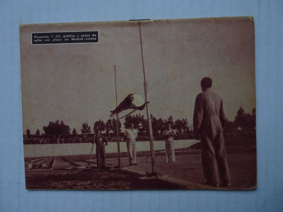 Revista Ídolos do Desporto nº 40 - Matos Fernandes