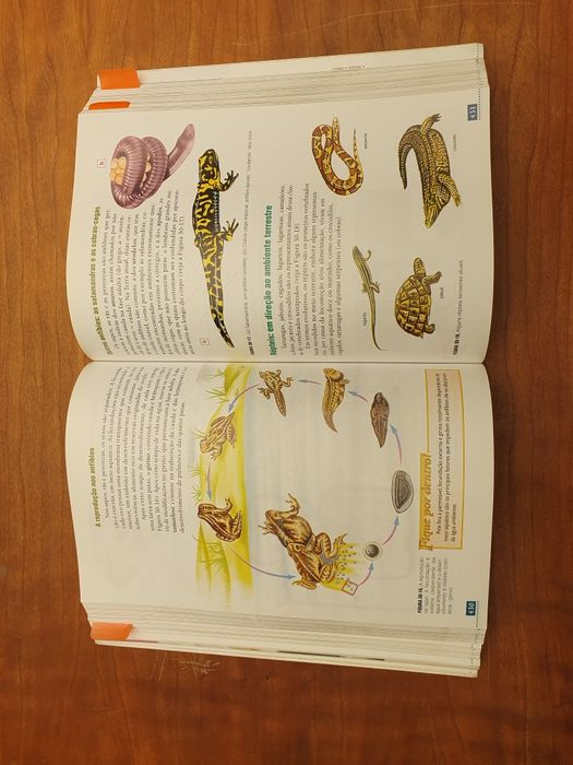 Biologia - Arménio Uzunian Ernesto Birner