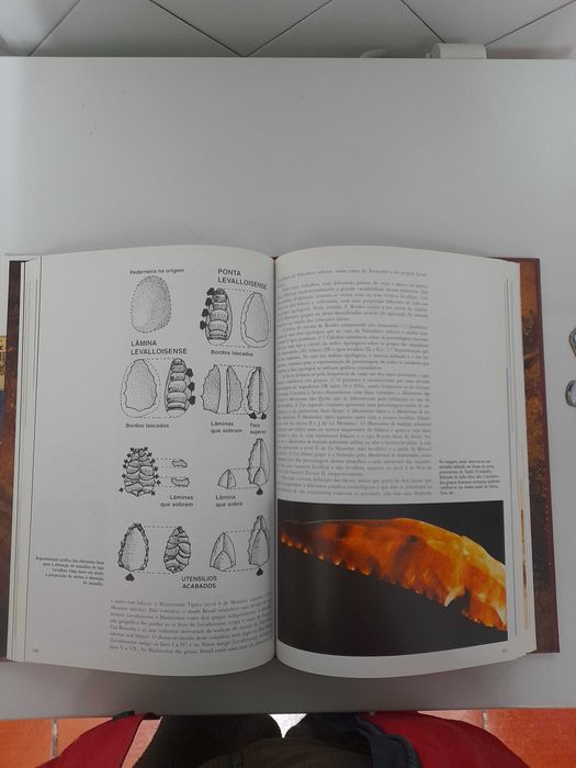 Enciclopedia nova história universal