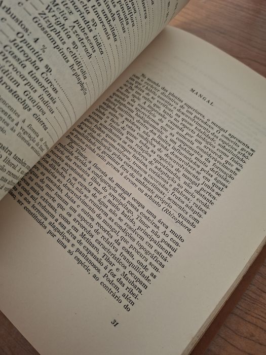 As Florestas de Timor por Ruy Cinatti