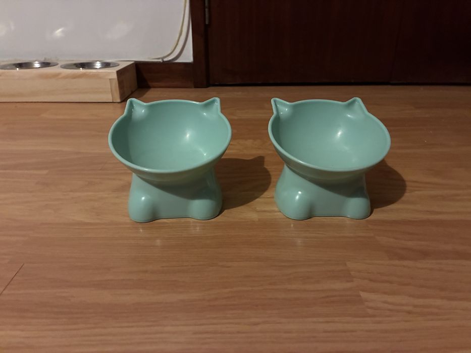 Acessorios para gato