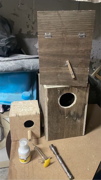 Ninhos para caturras , lanterna e ceringa para domesticar aves