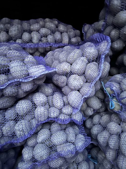 Картопля, бульба