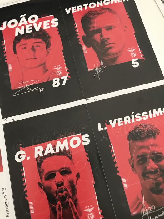 Sport Lisboa Benfica - Campeão 22/23 - Autocolantes