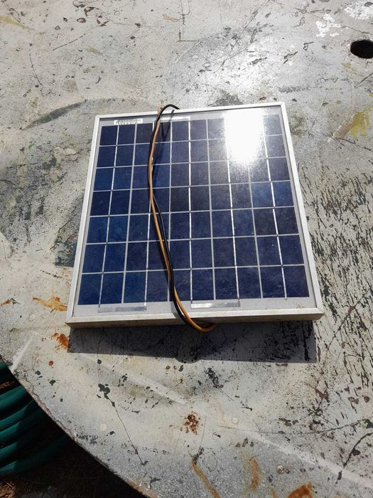 Proteção para animais