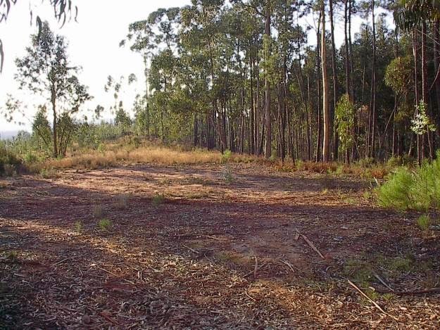 Terreno urbano para construção